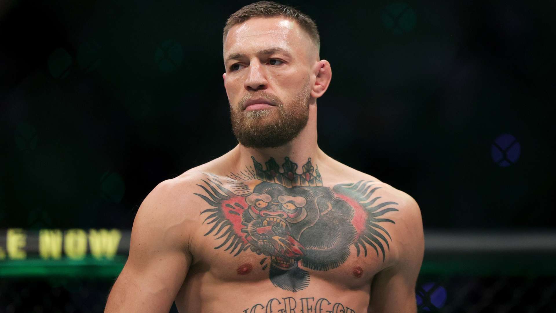 一种生动的 一种生动的