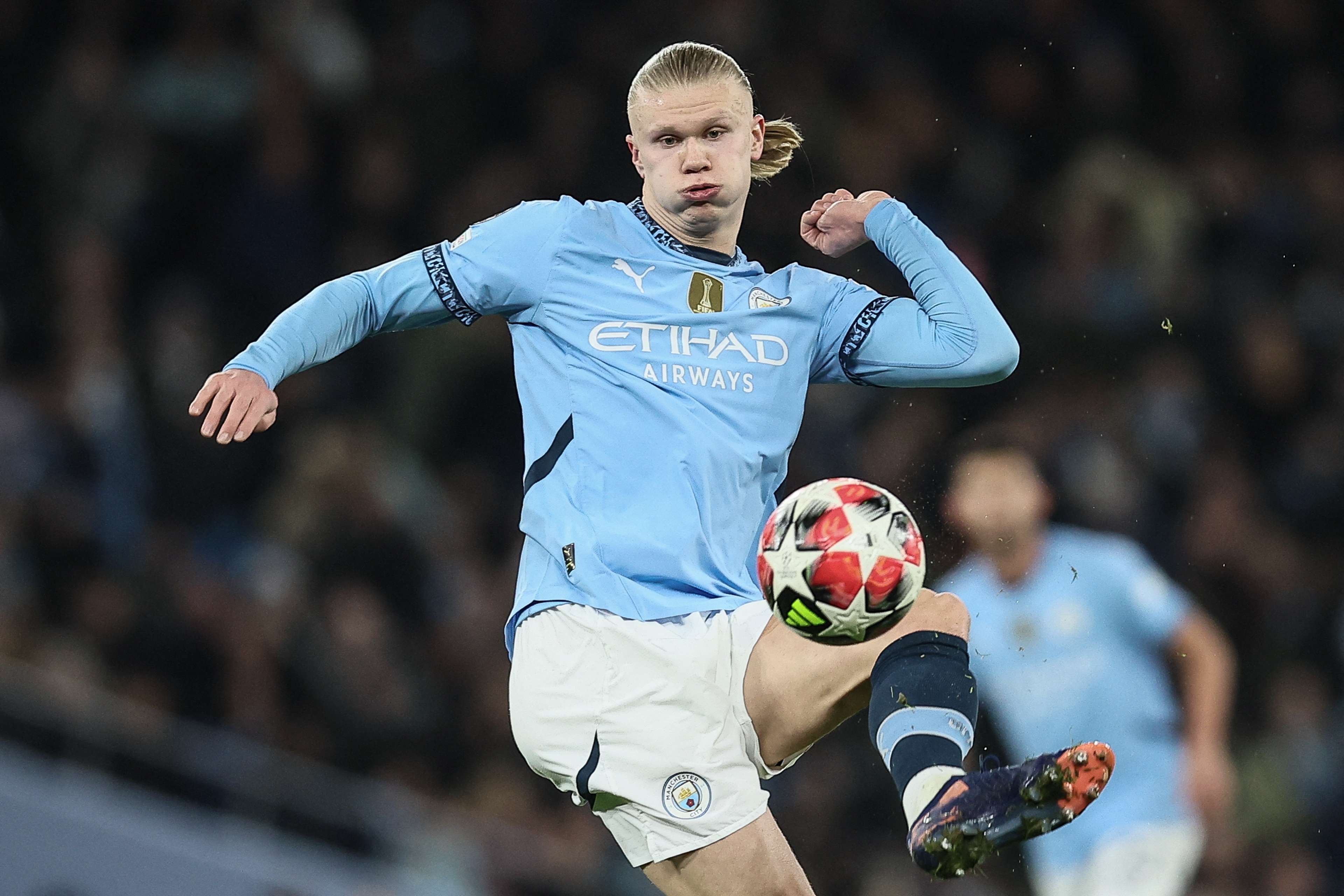 场展开有效 场展开有效