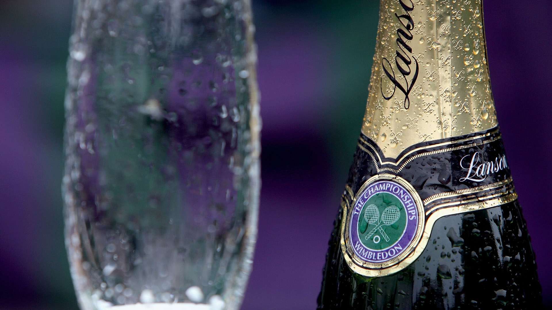 现出丰富的 现出丰富的