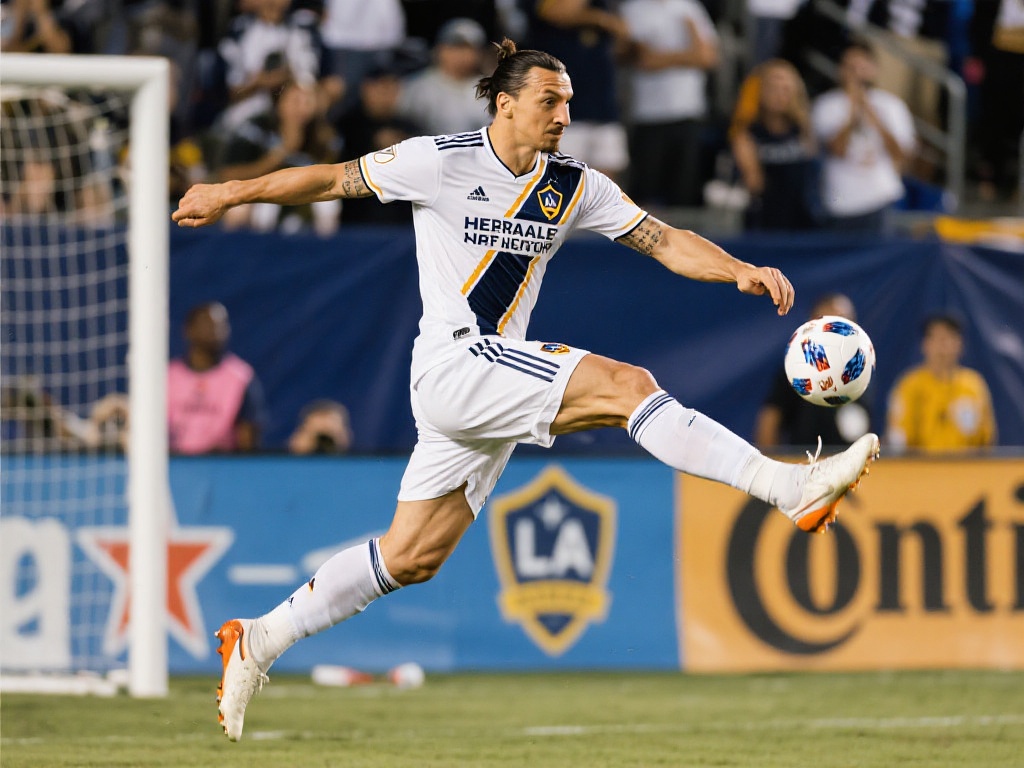 受到广州的 受到广州的